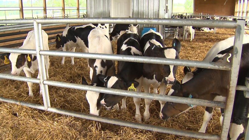 FILE - The Vermont Agency of Agriculture is launching a task force to help 28 organic farmers...