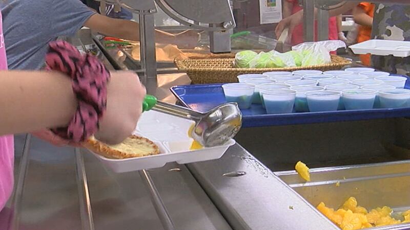 How do schools plan to feed students who are home?