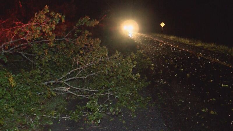 Storm debris in Guyton