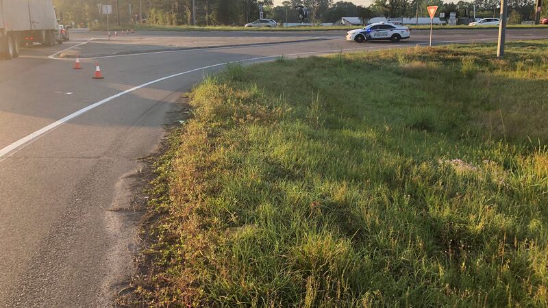 A fatal crash is blocking a portion of Highway 17 just south of 204 Wednesday morning.