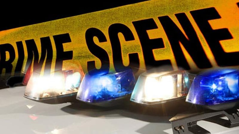 The Savanah Police Department has asked the Georgia Bureau of Investigation to conduct an...