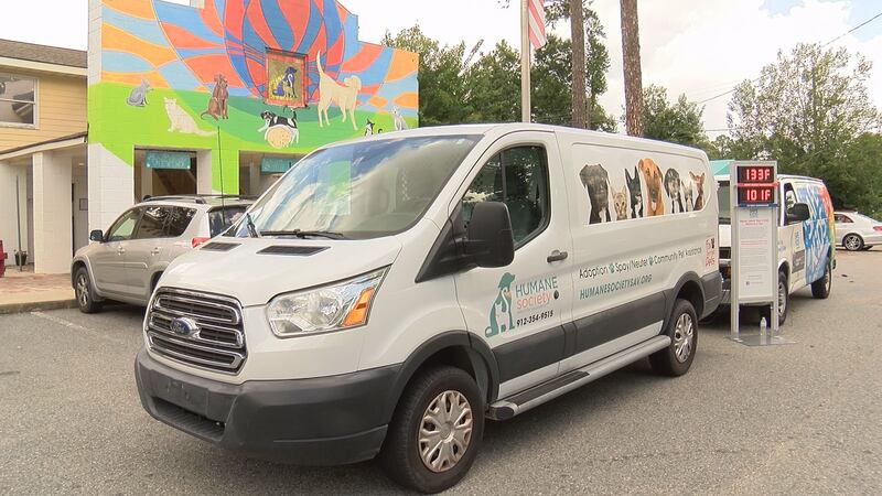 Summer heat is deadly for children and pets left inside cars.