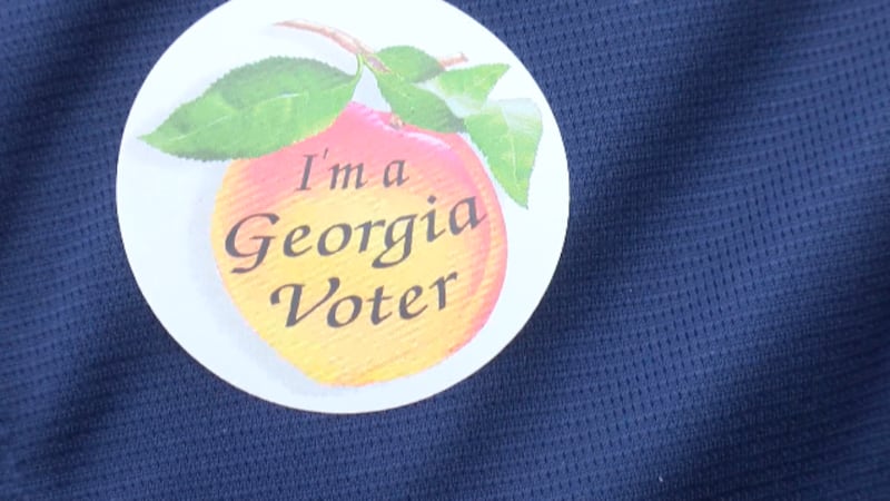 Georgia voter