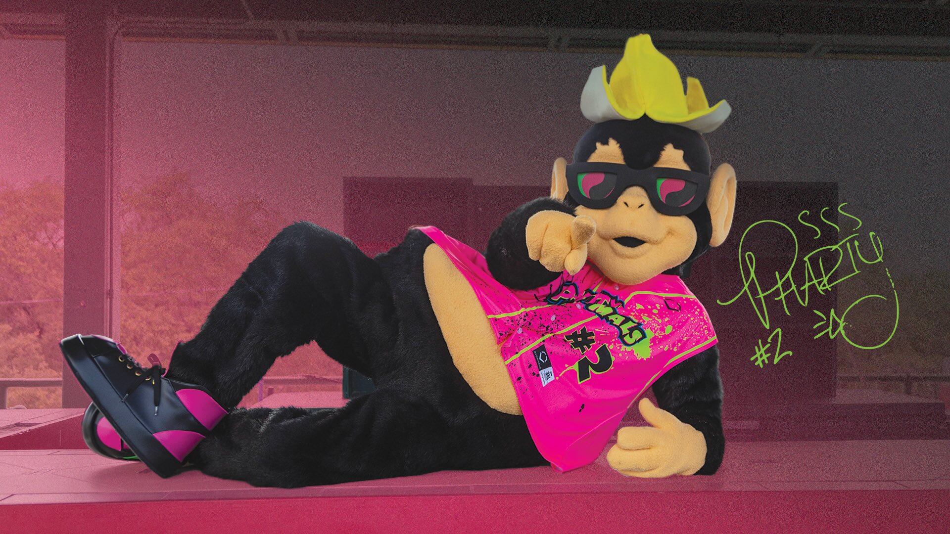 Party Animals unveil new mascot, and he's ready to stink up Grayson Stadium - Vimarsana News