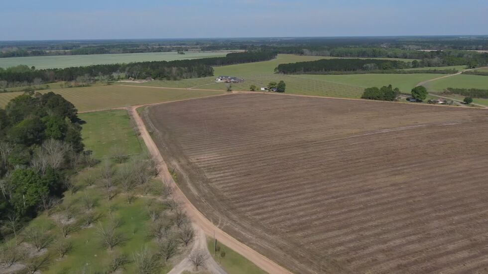 The Turner's farm nearly 2,800 acres in Baxley, Georgia.