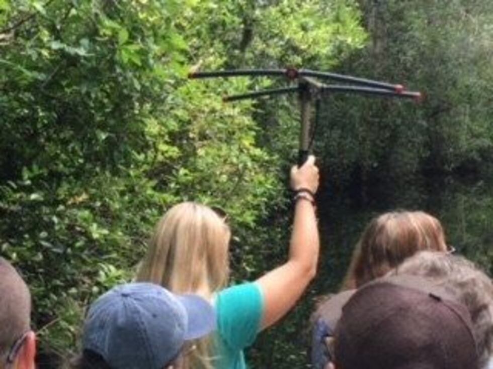 (Source: WTOC)