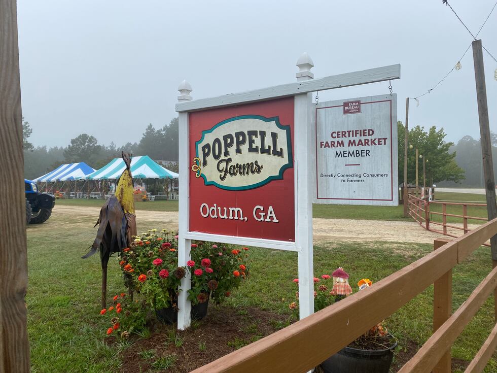 Hundreds of students visited the farm on this foggy morning.